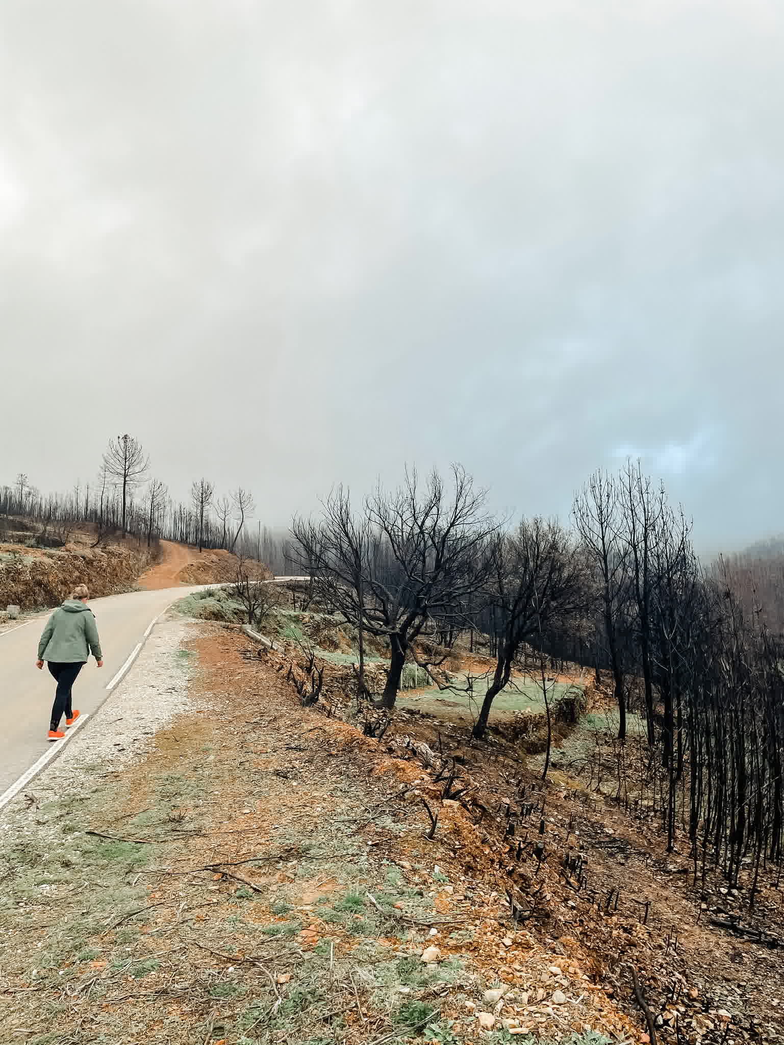 Leer wandelen in 4 makkelijke stappen