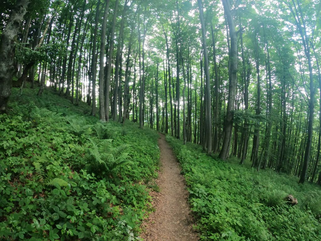 Bieszczady nationaal park_Ik Wil Hiken_5