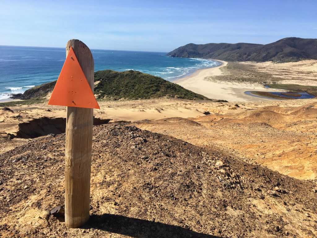 Tim Voors_Instagram_Te Araroa Trail_Ik Wil Hiken_04