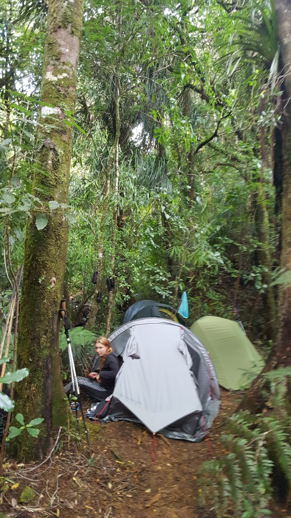 Te Araroa Trail_Dorcas_Ik Wil Hiken_05