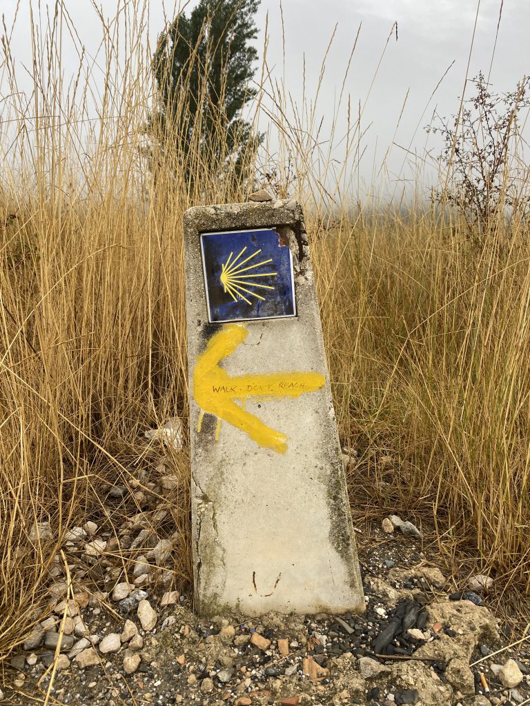 Camino De Santiago_Roos_Ik Wil Hiken_07