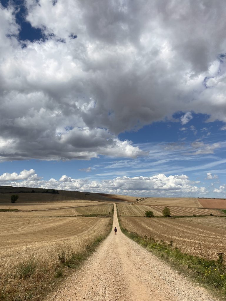 Camino De Santiago_Roos_Ik Wil Hiken_03