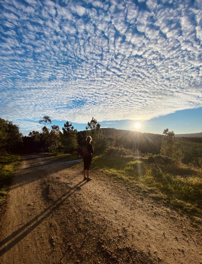 Camino De Santiago_Roos_Ik Wil Hiken_01