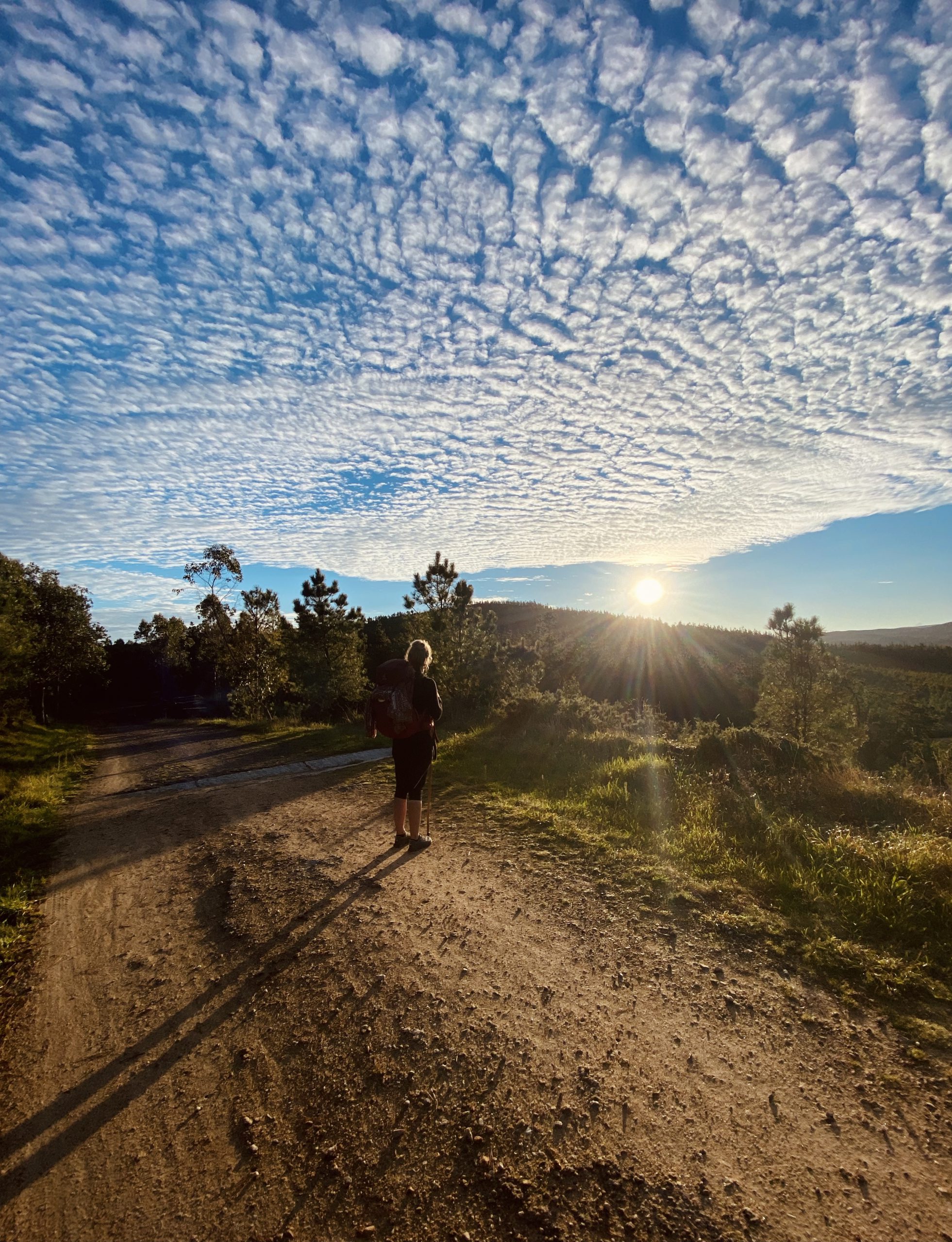 Camino De Santiago_Roos_Ik Wil Hiken_01