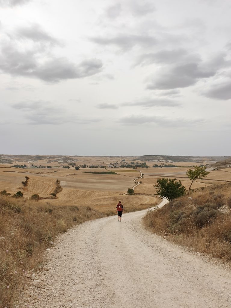 Camino De Santiago_Roos_Ik Wil Hiken_02