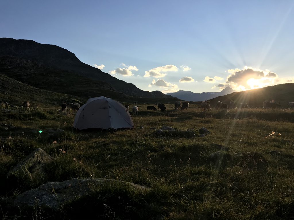 wildkamperen Zwitserland_Leoniemandsland_ Ik Wil Hiken_04