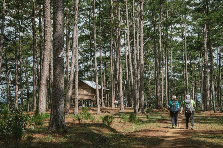 trektochten in Nederland_ IK Wil Hiken