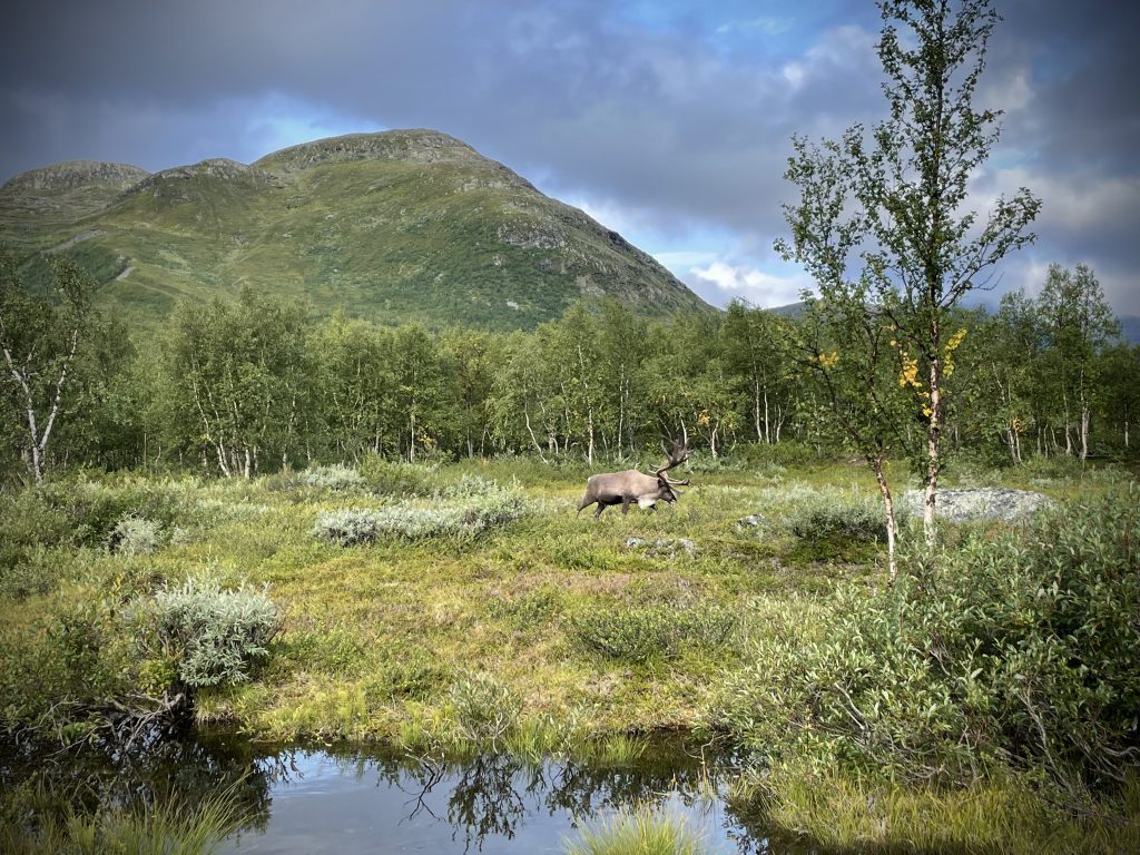 lapland_Tineke_Ik Wil Hiken_06