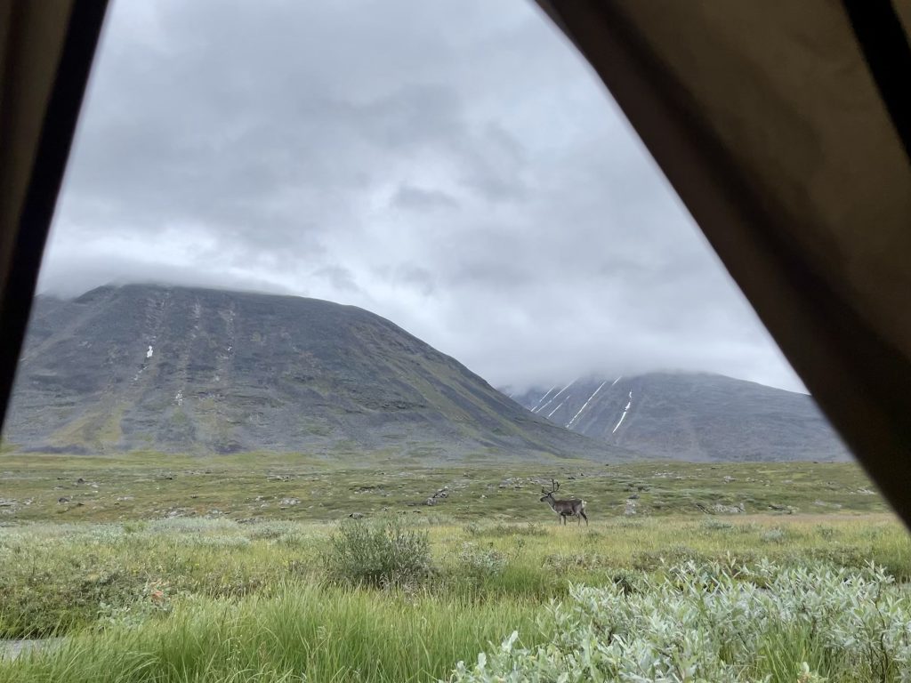 lapland_Tineke_Ik Wil Hiken_01