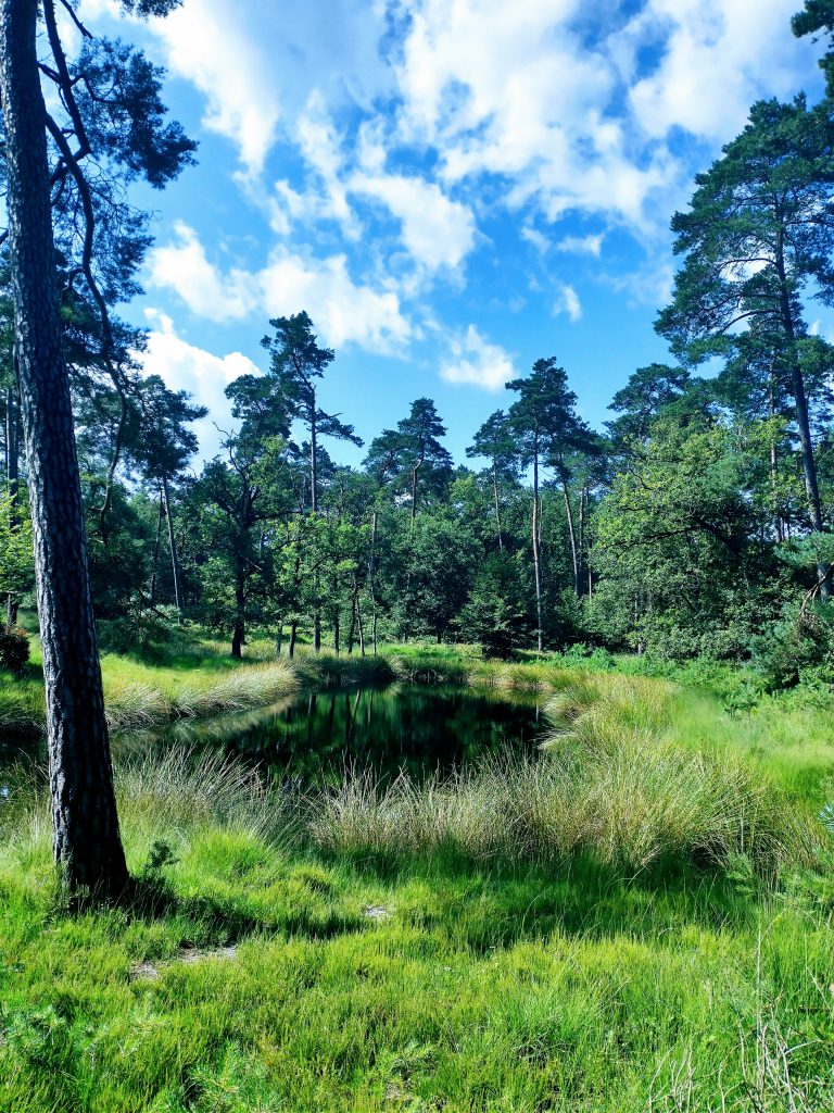 Meerdaagse tocht over de Veluwe_Mariska_Ik Wil Hiken _02