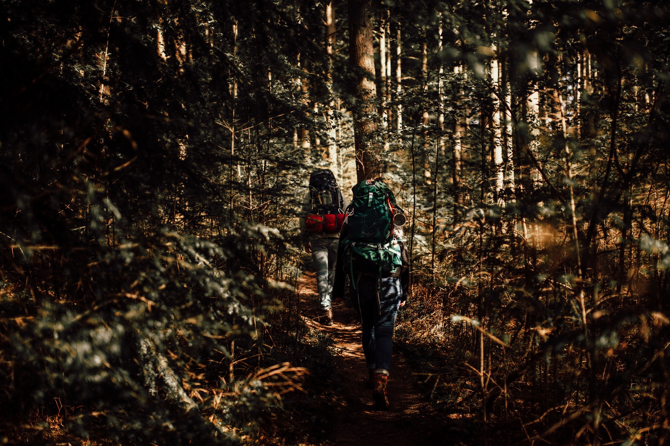 Tenten van MSR_Ik Wil Hiken_Freestanding tent_Outdoor_Hiking_03