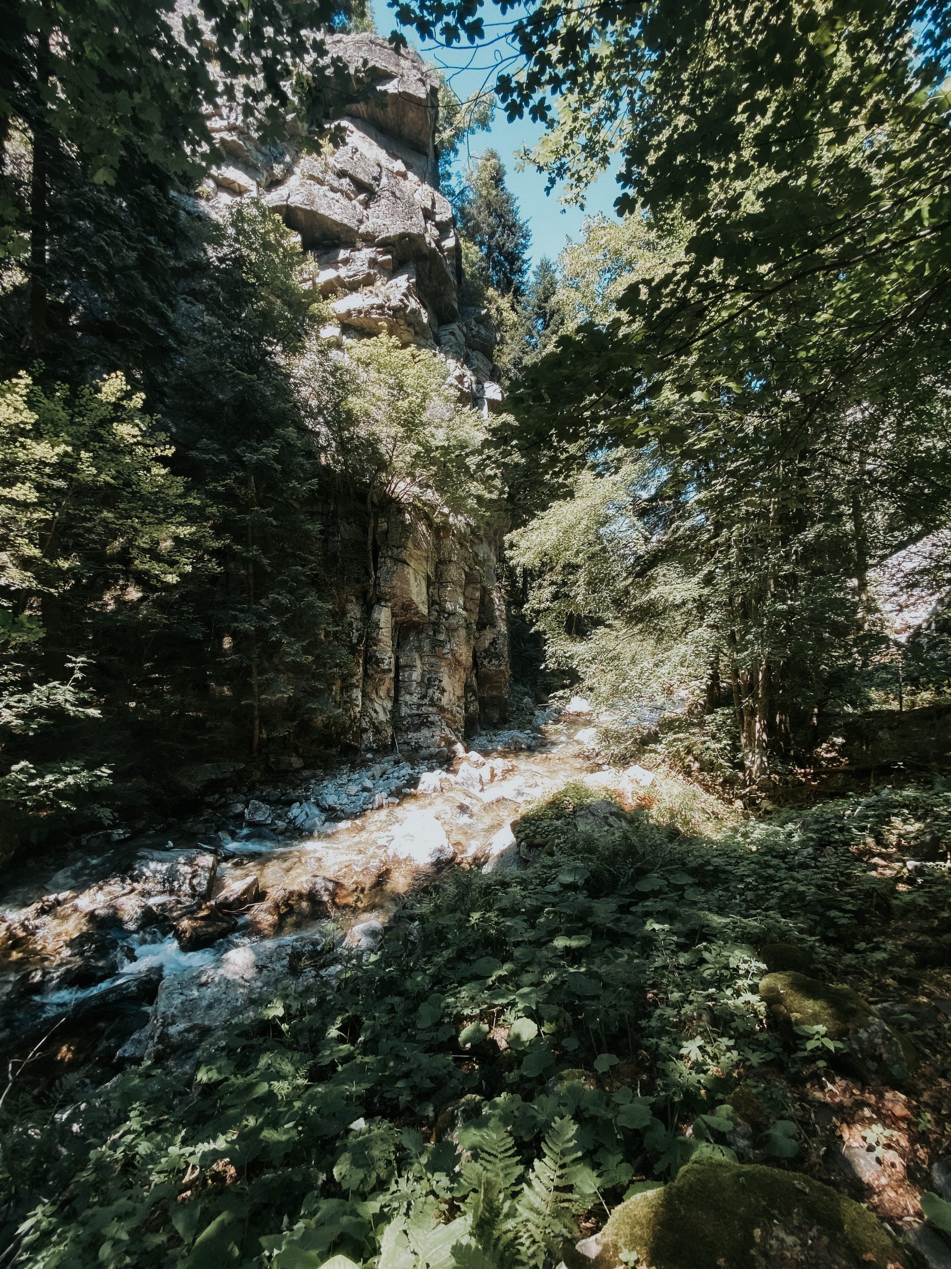 wildernis trekking_ik wil hiken_06