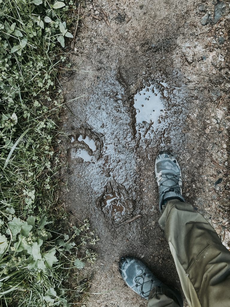 wildernis trekking_ik wil hiken_04