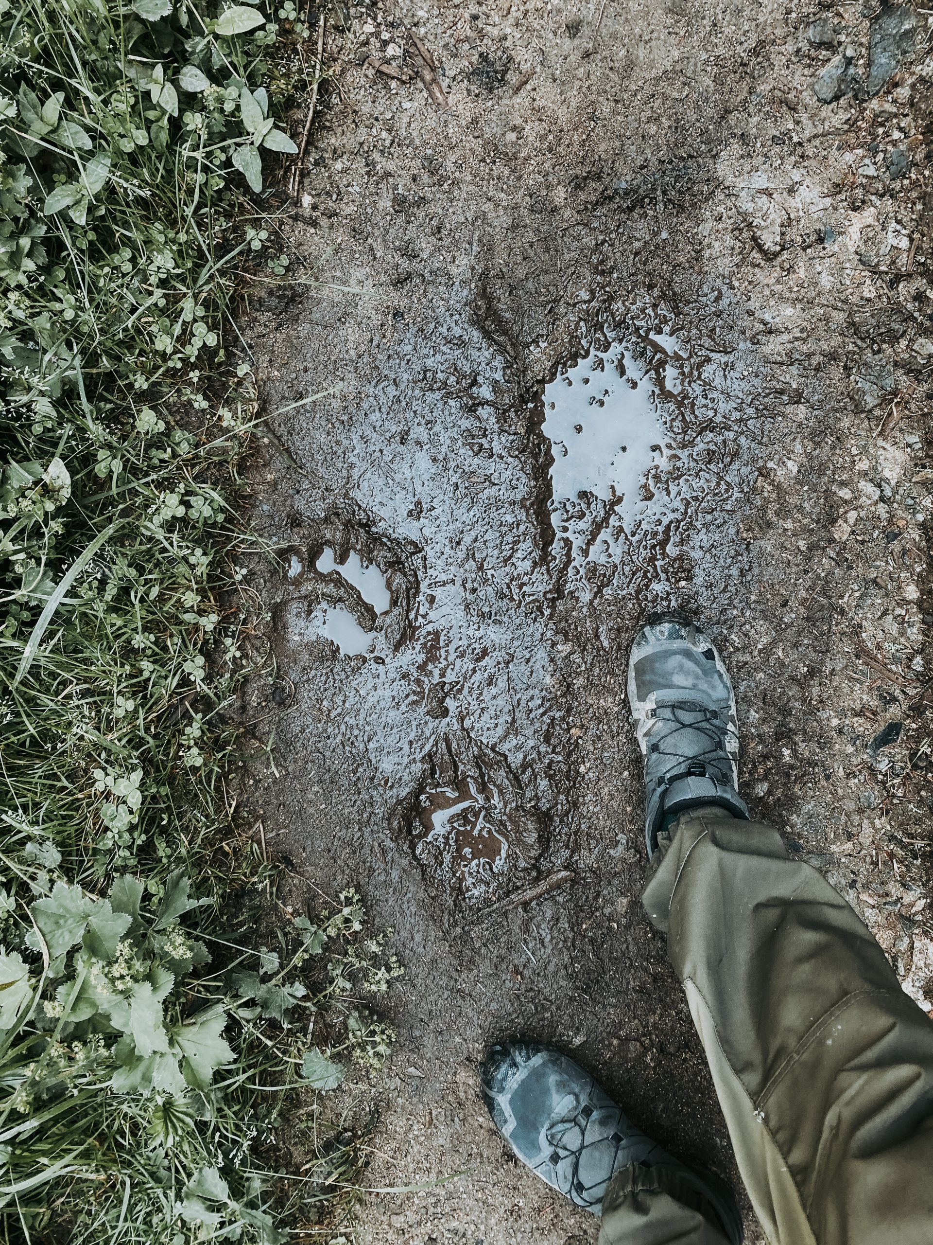 wildernis trekking_ik wil hiken_04