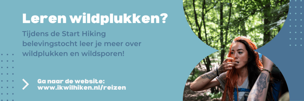 Trektocht maken in Nederland_Ik Wil Hiken_04