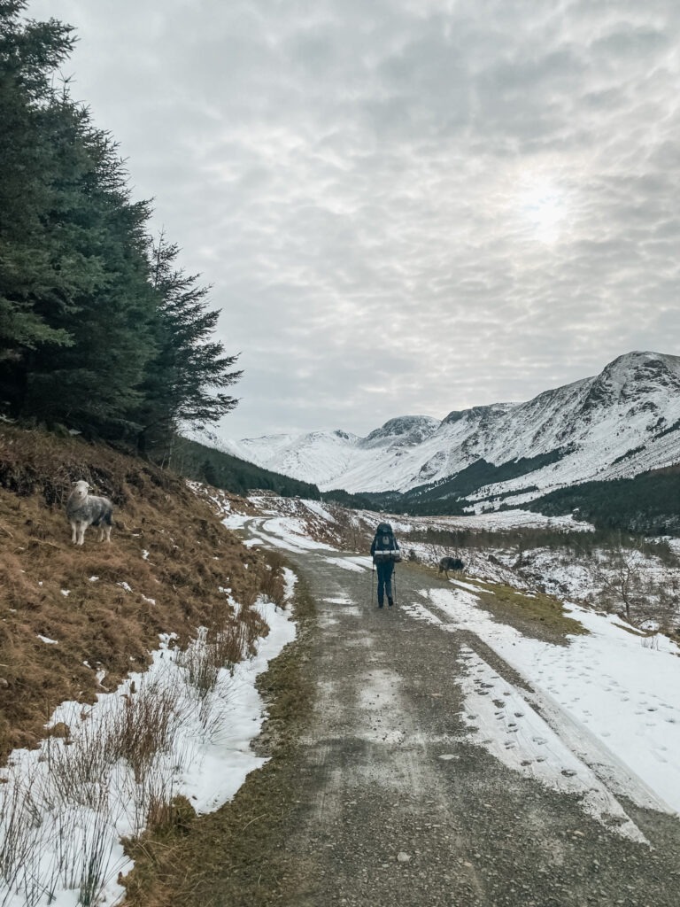 Coast to Coast walk, dag 2_Ik Wil Hiken_03