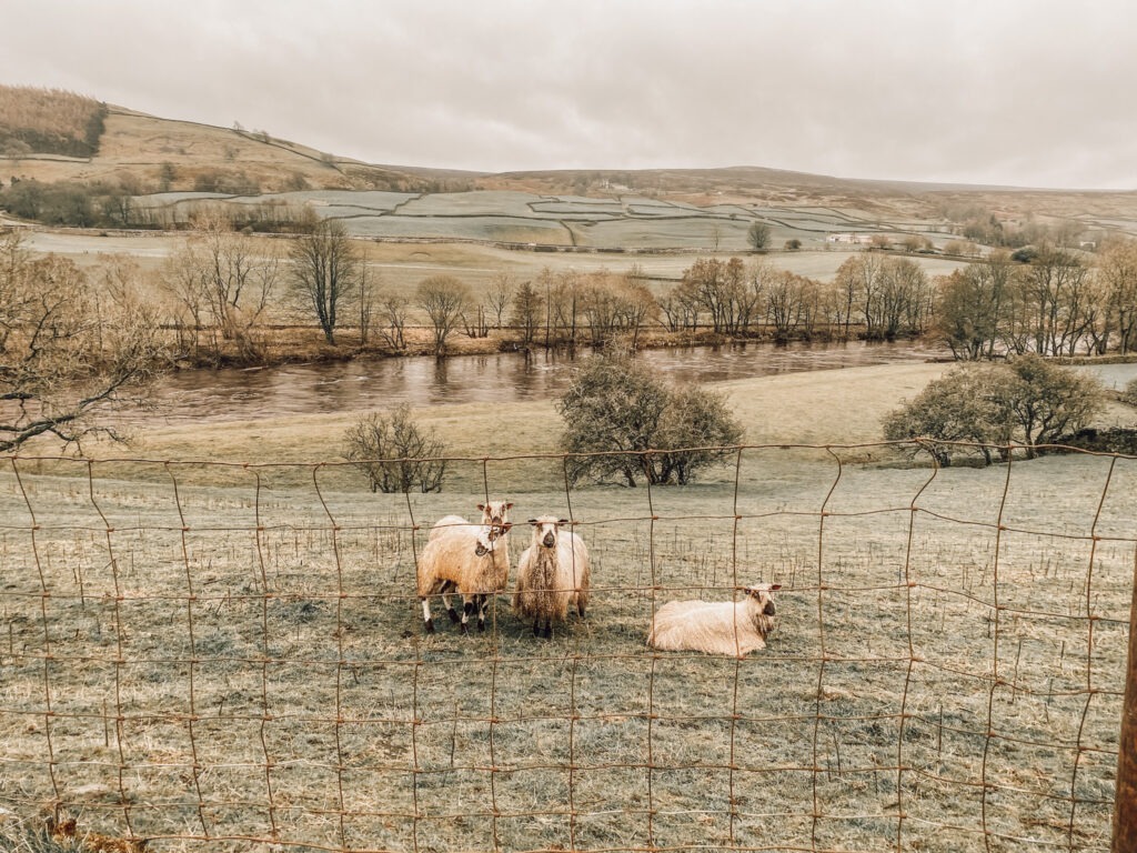 Coast to Coast walk_Reeth_Richmond_Ik wil hiken_04