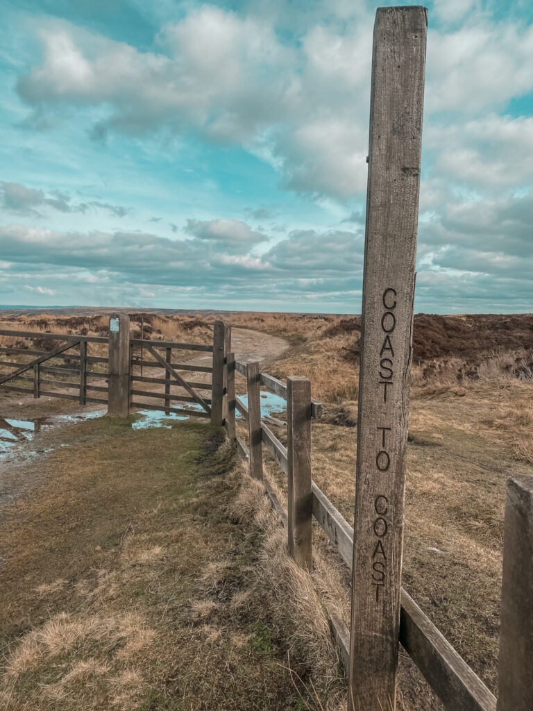 Coast to Coast walk, dag 9_Clay bank top to Glaisdale_Ik Wil Hiken_08